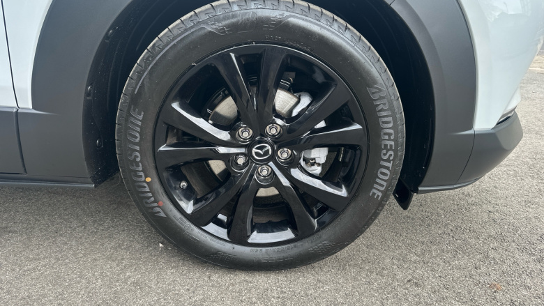 Mazda CX-30 2.5 e-Skyactiv G MHEV [140] Homura 5dr Petrol Hatchback